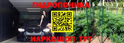 индика Уссурийск