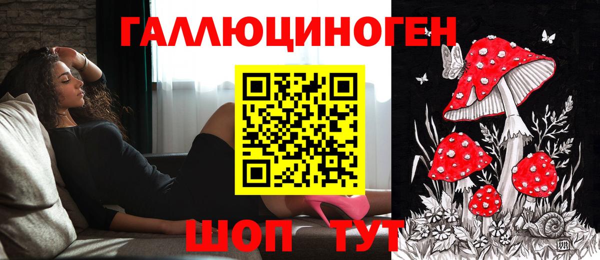 Псилоцибиновые грибы Psilocybe  Галлюциногенные грибы ЛСД  Вход с VPN  Киреевск 